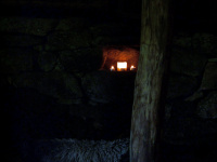P1000350_w.jpg
