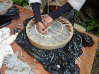 P1000354_w.jpg