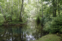 Blick Mead _K6A2814_w.jpg