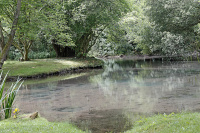 Blick Mead_K6A2809_w.jpg
