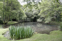 Blick Mead_K6A2813_w.jpg