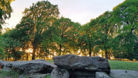 Summer Solstice Waylands_05.jpg