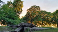 Summer Solstice Waylands_06.jpg