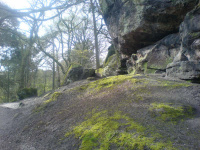 DSC00099.JPG