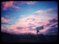 ION 7 Its your path to follow IMG_7977.jpg