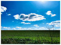 ION 12 'Timeless Day'.jpg