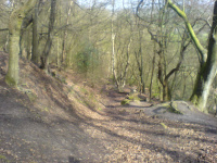 DSC00104.JPG