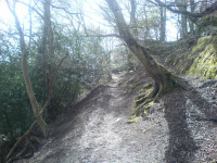 DSC00105.JPG