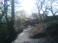 DSC00106.JPG