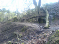 DSC00107.JPG