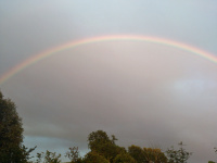 Rainbow_w.jpg