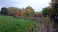 63A-Welcome-_w.jpg