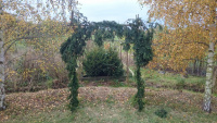 65A-The-Samhain-Gateway-w.jpg