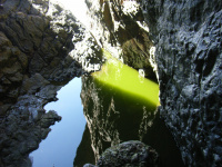 Pictures-2010-to-aug-2011-516.jpg