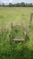 Summer-Solstice-2016-26-Bardic-Chair.jpg