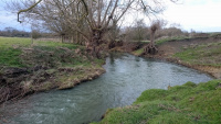 This-Spring-16_w.jpg