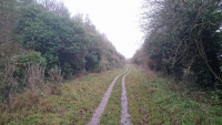 TWW-B3-The-Ridgewayw-.jpg