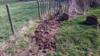 70A1-The-Burried-Pipe-_w.jpg