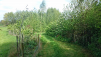 74A-w.jpg