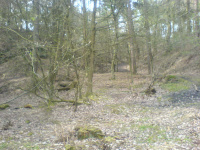DSC00125.JPG