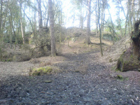 DSC00126.JPG