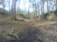 DSC00127.JPG