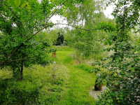 90A2 - w.jpg
