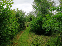 90A3 - w.jpg