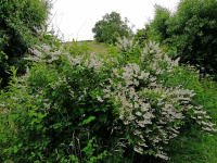90B2 - w.jpg