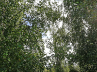 107B2_w .jpg