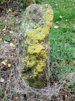 112A1_w .jpg