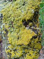 112A2_w .jpg