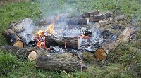 M.G. 5 – Grove – Grove Fire