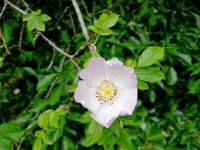 119B1.jpg
