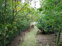 121A1.jpg