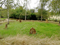 122A.jpg