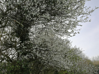 125A1.jpg