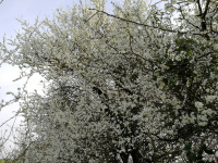 125B1.jpg