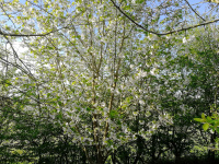 126A2.jpg