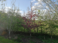 126B1.jpg