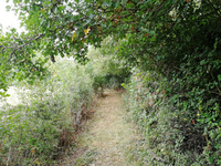 127A.jpg