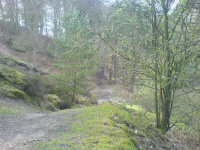 DSC00143.JPG
