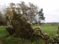DSC03611.JPG