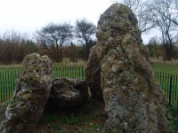 DSC03627.JPG