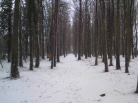 DSC00202.JPG