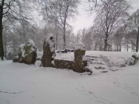 DSC00189.JPG