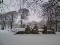DSC00193.JPG