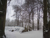DSC00194.JPG