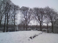 DSC00197.JPG