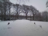 DSC00198.JPG